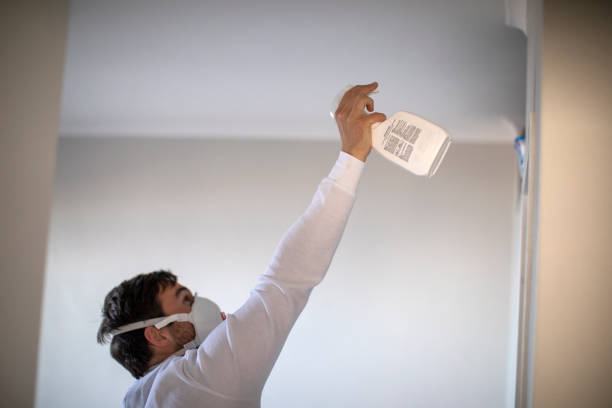 Best Mold Testing and Inspection Services in Edinburg, TX