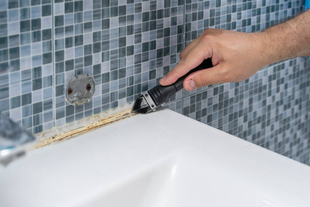 Best Emergency Mold Remediation in Edinburg, TX