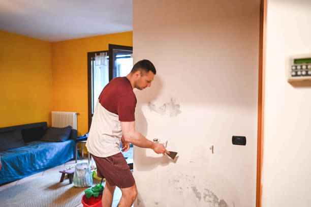 Best Bathroom Mold Remediation in Edinburg, TX
