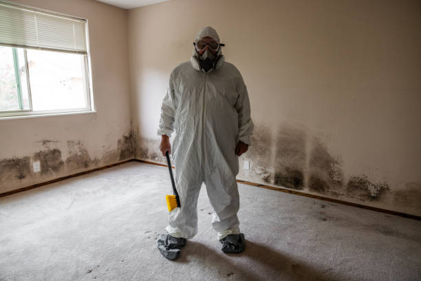 Best Residential Mold Remediation in Edinburg, TX